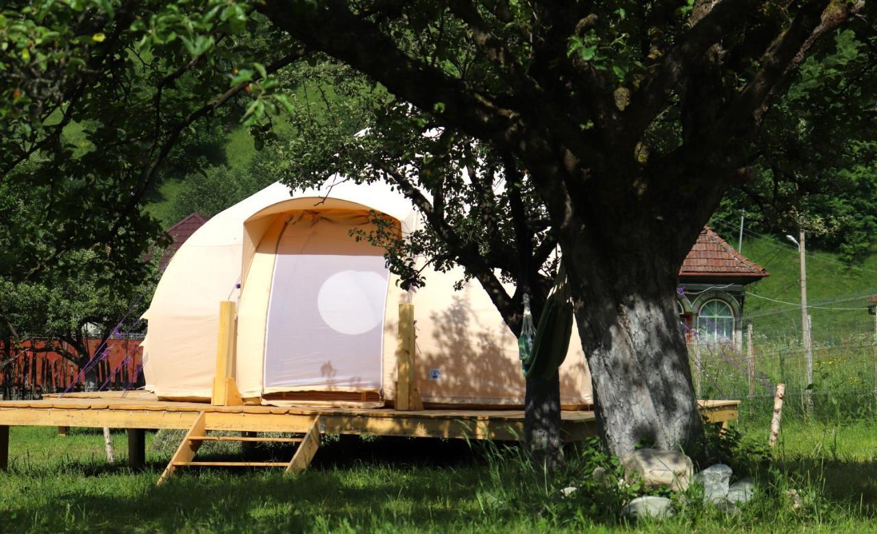 Hotel Flore'S Garden Glamping Bran  Zewnętrze zdjęcie