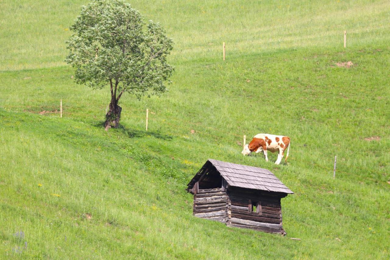 Hotel Flore'S Garden Glamping Bran  Zewnętrze zdjęcie