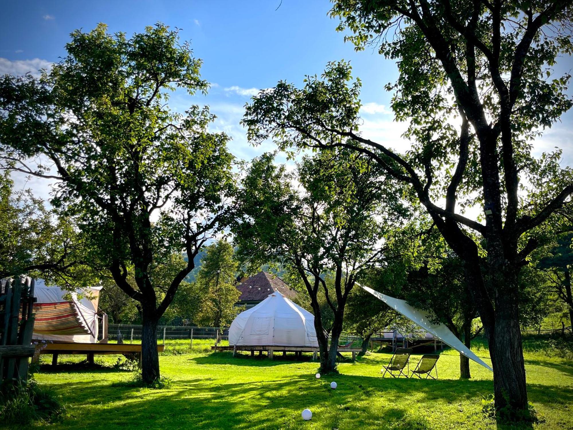 Hotel Flore'S Garden Glamping Bran  Zewnętrze zdjęcie